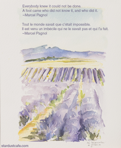 MarcelPagnol_lavendar